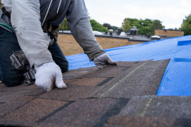 Best Gutter Installation and Roofing  in Sunnyside, GA